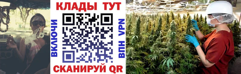 Как найти закладки Берёзовка Марихуана  Alpha PVP  ГАШИШ  Меф мяу мяу  Cocaine 