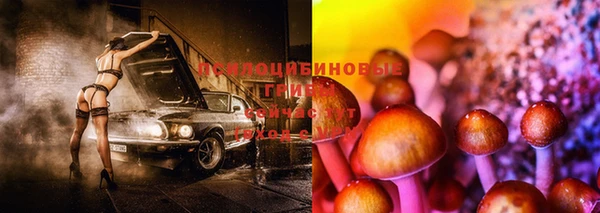 jwh Алзамай